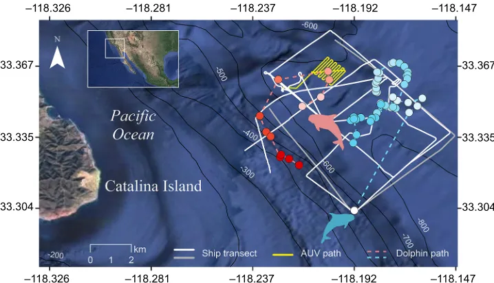Fig. 1. Map of hydroacoustic survey anddolphin tagging experiments off CatalinaIsland