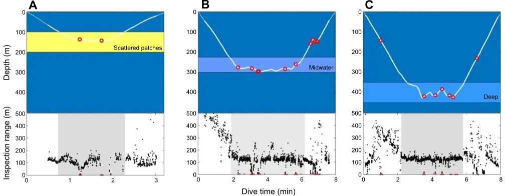 Fig. 4. Examples of the sampling strategies of the dolphins in relation to prey layers in three dive types
