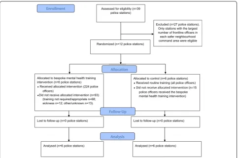 Fig. 1 Consolidated Standards of Reporting Trials (CONSORT) 2010 flow diagram