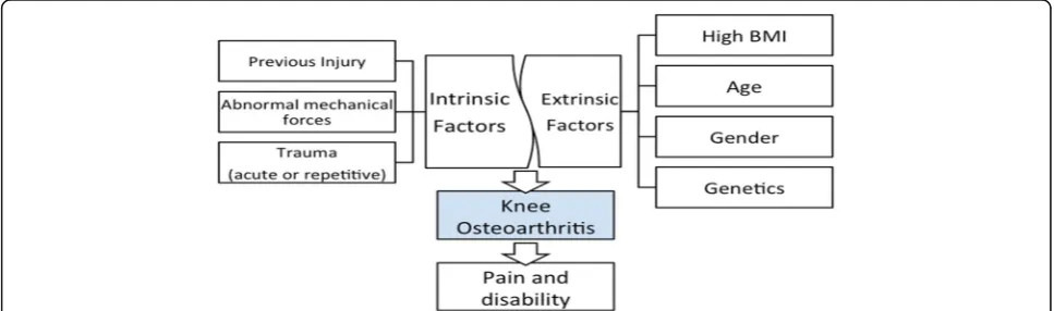 Fig. 1 Multifactorial features of knee osteoarthritis composed of intrinsic and extrinsic factors