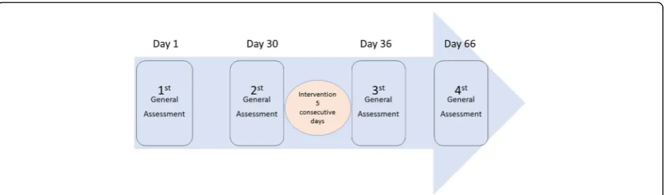 Fig. 2 Participantsb’ assessment occurs in sequential moments: a Baseline assessment (day 1) – 1 month before the beginning of the intervention