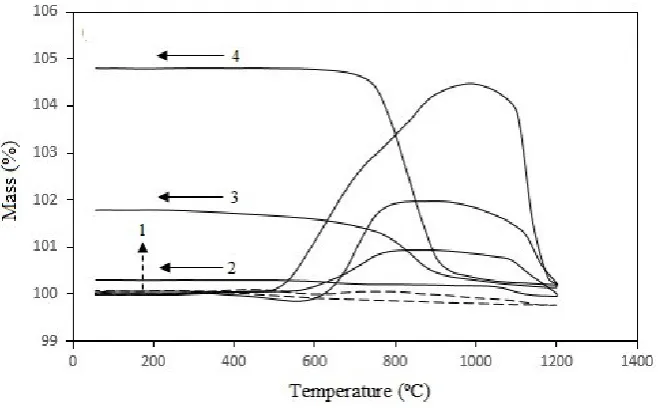 Fig. 5. TGA of samples in pure CO2 heated up to 1200ºC with a heating rate of 3 ºC/min, isothermally 
