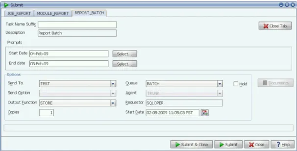 Figure A. You can respond to prompts and set the Options to control output,  queues, agents, start date, and more.