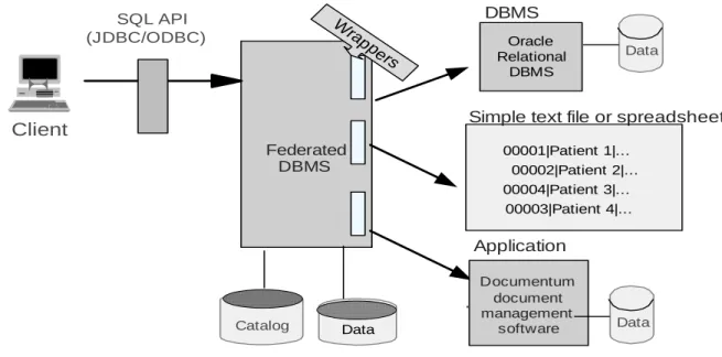 Figure 3: Federated DBMS Architecture 