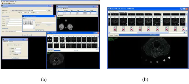Figure 3: (a) GridPACS Client Screen Shot. (b) Medical Datasets Browser Screen Shot.