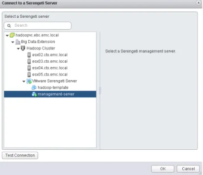 Figure 25. Connect Serengeti Server 