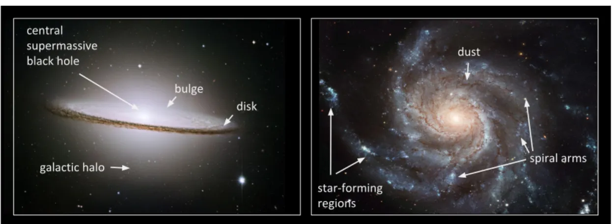 Figure 1.1 A side-on (left) and face-on (right) view of typical spiral galaxies. The edge- edge-on view gives a clear visual of the disk, bulge, and galactic halo compedge-onents