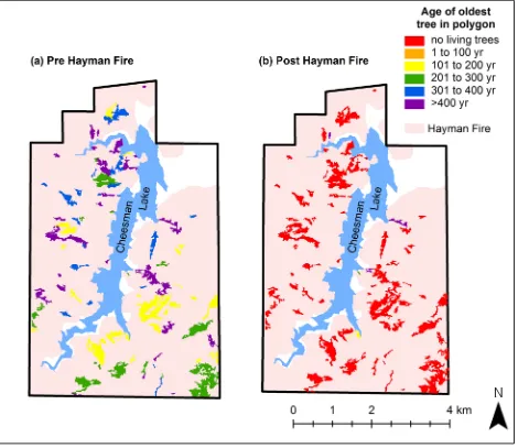 Figure 4.  The Cheesman Lake landscape, with the age of the oldest living overstory tree in 106 polygons (a) before and (b) after the 2002 Hayman Fire.