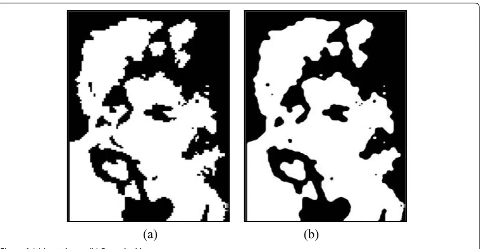 Figure 1 (a) Input image (b) Smoothed image