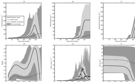 Figure 1. Comparison of prior model predictions (dark grey, dashed line) and posterior model predictions (light grey, continuous line) at onewheat (DK-Ris) site