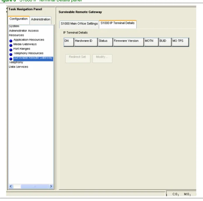 Figure 6   S1000 IP Terminal Details panel
