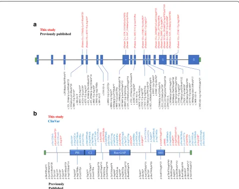 Fig. 1 Pathogenic variants inprotein. Previously published protein variants below the protein