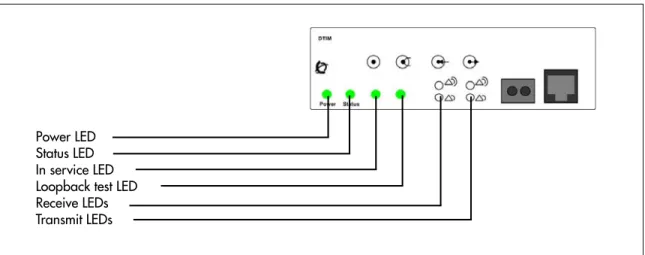 Figure 3   DTM LEDs