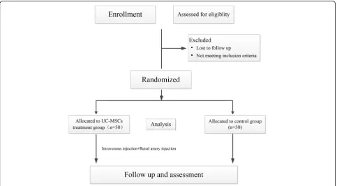 Fig. 2 Overview of this trial procedure UC-MSCs, umbilical-cord-derived mesenchymal stem cells