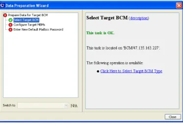 Figure 32 -   Data Preparation Wizard target BCM Valid 