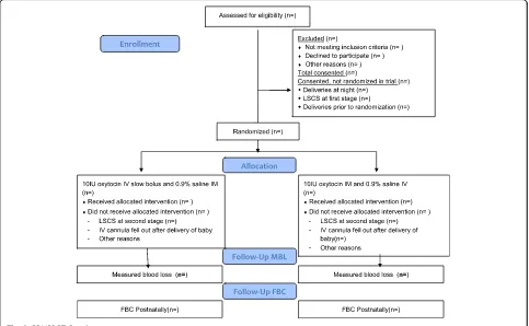 Fig. 2 CONSORT flowchart