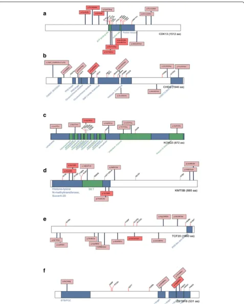 Fig. 1 a-f Composite figures of genes with pathogenic or likely pathogenic variants identified in this study: CDK13, CHD4, KCNQ3, KMT5B, TCF20,and ZBTB18 (adapted from the “Prevalence and architecture of de novo mutations in developmental disorders” study 