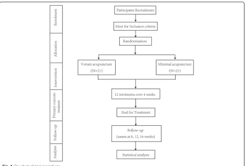 Fig. 1 Flowchart of trial procedures