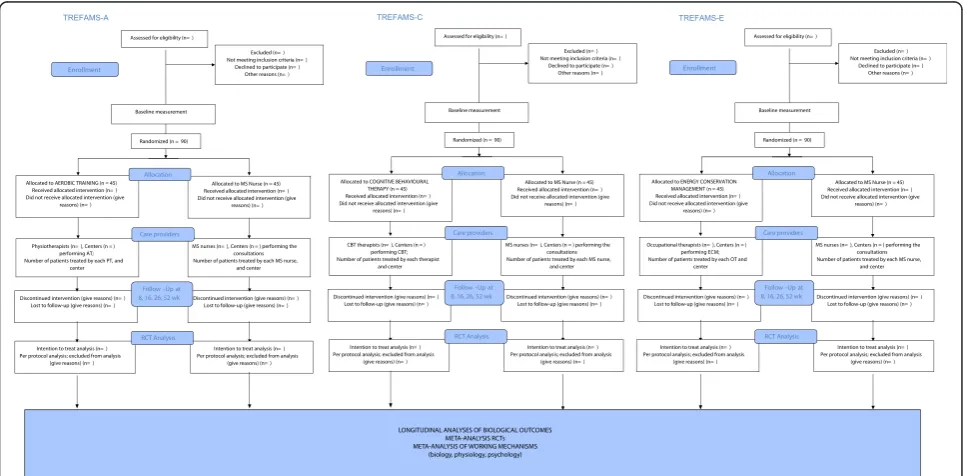 Figure 1 The design of the TREFAMS-ACE programme.