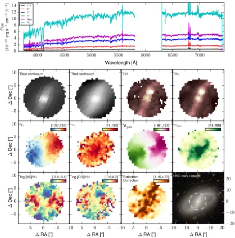Figure 14. Summary of data available for galaxy ID 22887. Along with Tableemission line ﬂux, H 2, this ﬁgure provides an overview of data available for each galaxy in therelease