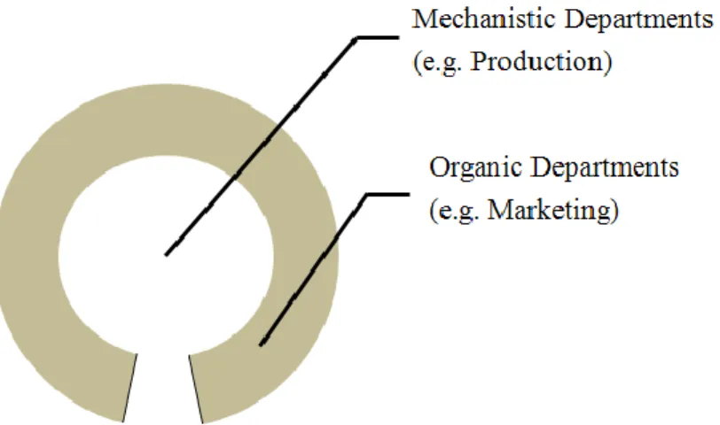 Fig. 1: Organic vs. mechanistic structure. Adapted from Robey and Sales (1994) 
