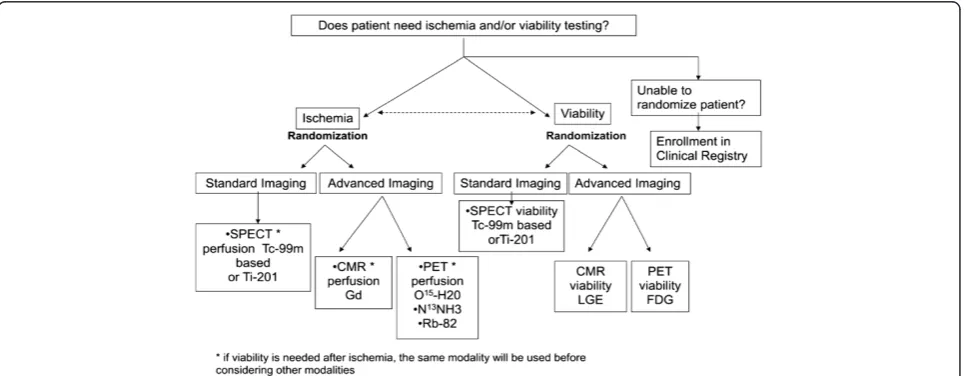 Figure 1 Overall randomization scheme for patients enrolled in Alternative Imaging Modalities in Ischemic Heart Failure (AIMI-HF).