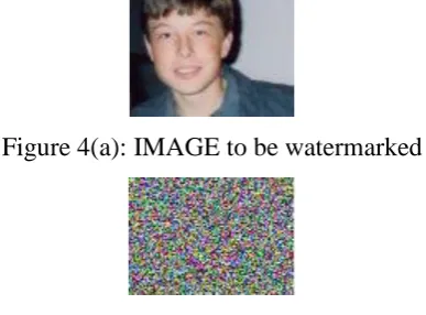 FIGURE 4(B): AFTER TORUS AUTOMORPHISM 