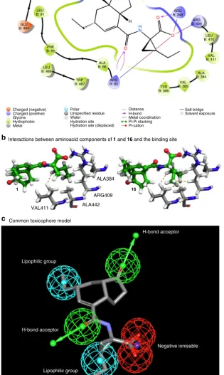 Fig. 4 Computational modelling. a COR (1) in the protein binding site (COI1) and main interactions