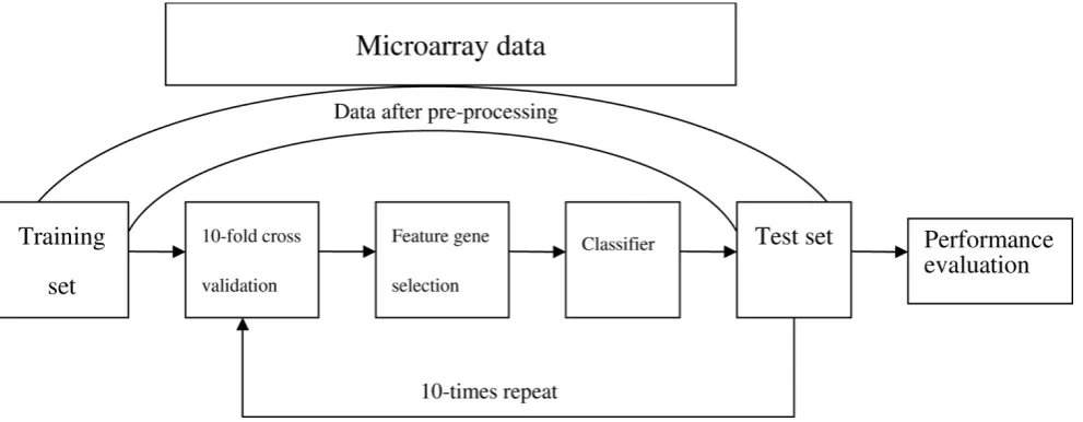 Figure 1Framework for the procedure of classification.