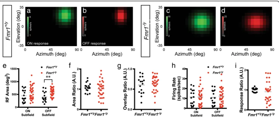 Fig. 2 Enlarged OFF, but not ON, subfield of visual neurons in the SC ofrate in the ON and OFF subfields.of the ON to OFF area ratio