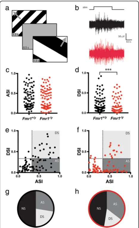 Fig. 3 Decreased direction selectivity of visual neurons in the SC ofFmr1Fmr1−/y mice