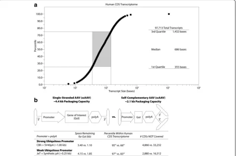 Fig. 1 Packaging capacity of AAV. a Plot of CDS size in bases versus percentile as determined via analysis of all human CDSs in GENCODE 28