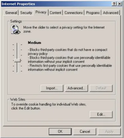 Illustration 4 Browser security settings. The settings concerning cookies are set to medium.