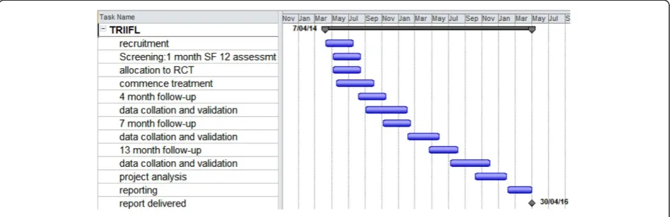 Figure 3 Timelines and tasks.