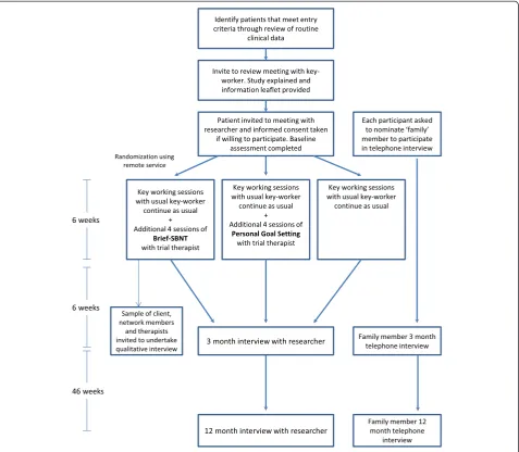 Figure 1 Flow diagram of the study design.