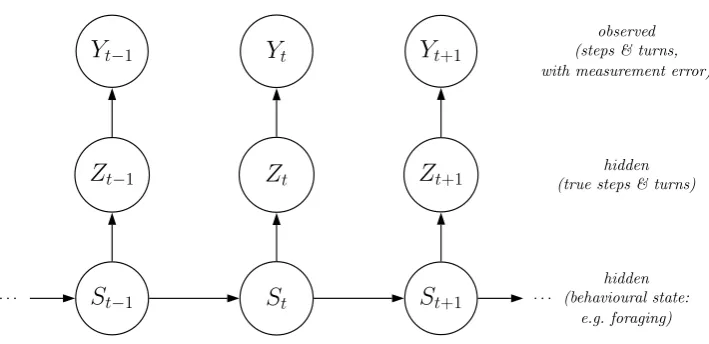Figure 4: Structure of an SSM where observations are step lengths and turning angles, measured witherror
