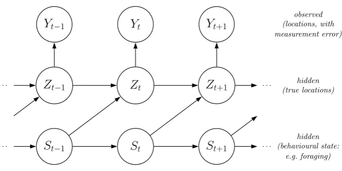 Figure 5: Structure of an SSM where observations are animal locations, measured with error.