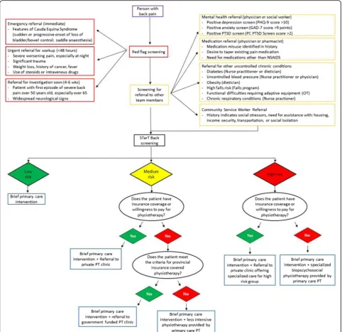Fig. 1 Overview of the PT in primary care screening and navigation process. The physiotherapist (Questionnaire-9,pain and disability [27]) to guide referral pathways for physiotherapy
