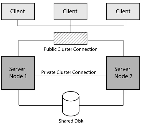 Figure 2.10: Clustered File System schematics, derived from [105].