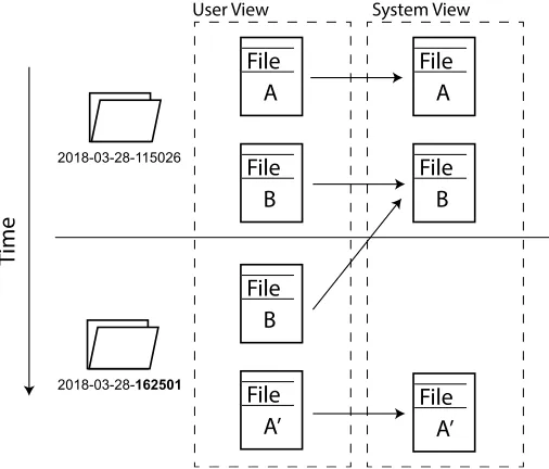 Figure 3.4: Time Machine’s storage model.The ﬁle B in the second backup (user-view) is ahard-link to the ﬁle B as represented in the system view.
