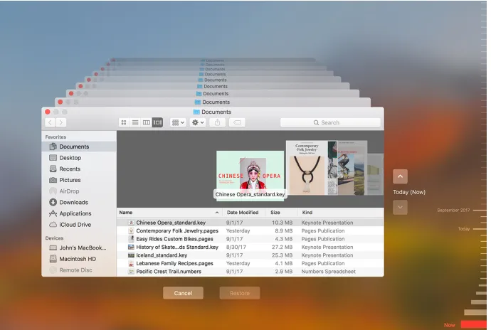 Figure 3.5: Screenshot of the Time Machine’s user interface (see Image Credits).