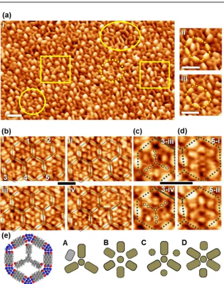 Fig. 2 High resolution STM images in 3D representation of pores of a supramolecular network composed of PTCDI and melamine
