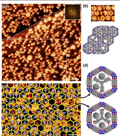 Fig. 5 STM images of(a) Overview showing the four-armed molecule locked in the pores. Yellow ellipse marks a defect in the network