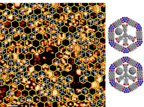 Fig. 7 STM image of C2OHfullerenes map the network pattern. For the original image and its Fourier transform see Fig