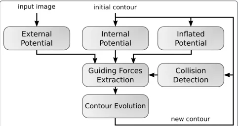 Figure 3 Overview of the Pixel-Level Snakes algorithm.