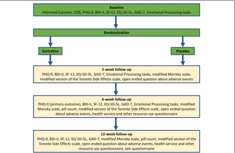 Fig. 1 Summary of baseline and follow-up schedule for the PANDA trial. BDI-II Beck Depression Inventory-II; CISR Clinical Interview Schedule-Revised;EQ-5D-5L Euroqol 5D-5L; GAD-7 Generalized Anxiety Disorder-7; PHQ-9 Patient Health Questionnaire-9; SF-12 Short Form-12