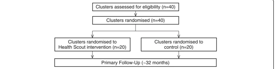 Fig. 1 The mHealth Lakefolk Actively Keeping Engaged (mLAKE) study flow diagram