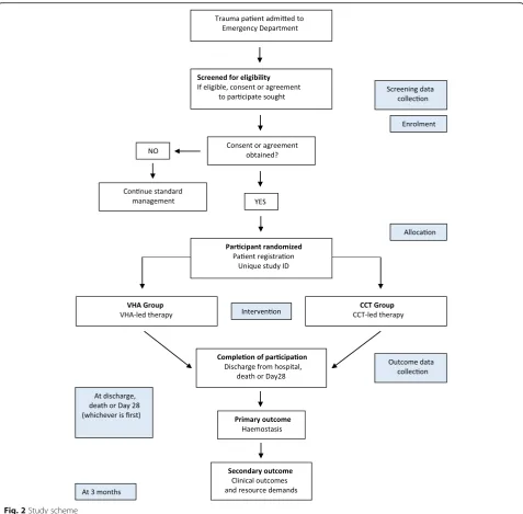 Fig. 2 Study scheme
