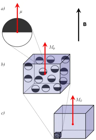 Figure 2.19 A particle with spin and magnetic moment 