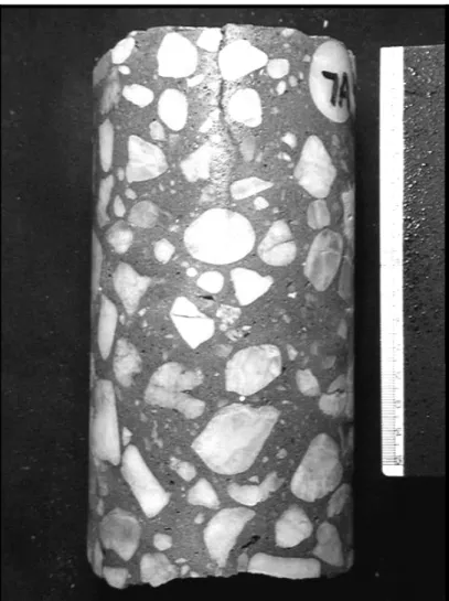 Figure 14.   Core showing crack from surface extending to depth of approximately 2 in where it connects with  sub-horizontal network of cracks associated with coarse aggregate particles
